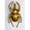 KARE dekoracja ścienna ATLAS BEETLE złota