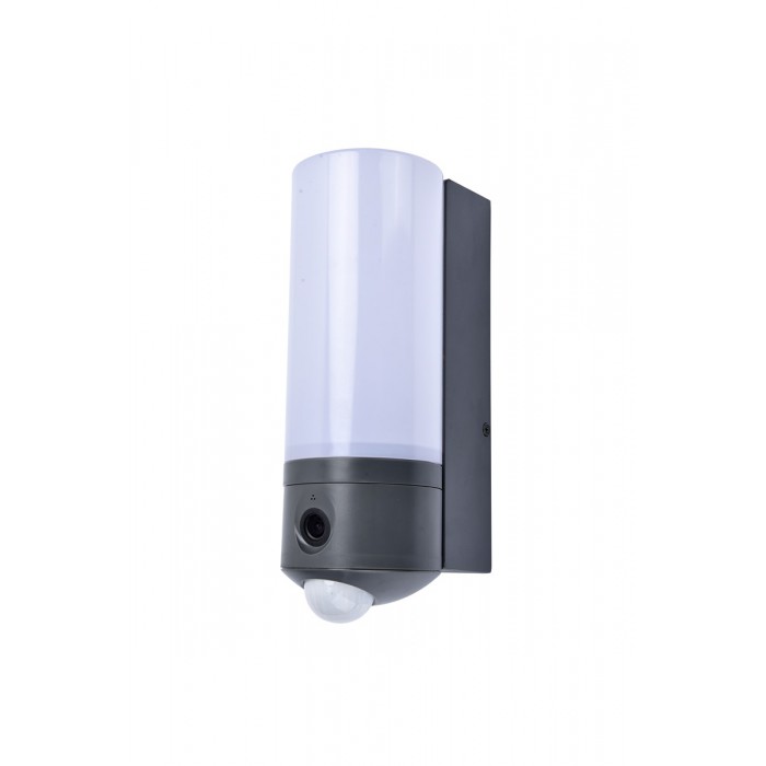 Lutec Lampa zewnętrzna ścienna POLLUX 5196004118 antracyt