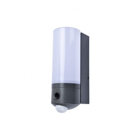 Lutec Lampa zewnętrzna ścienna POLLUX 5196004118 antracyt