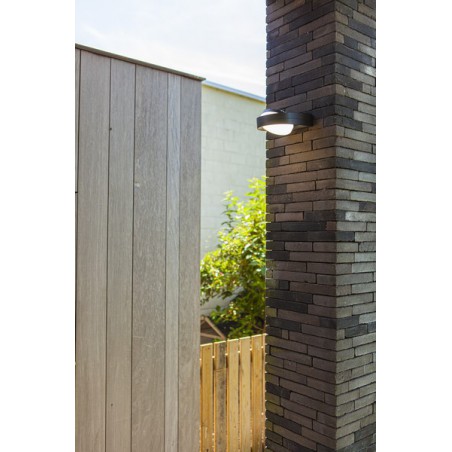 Lutec Lampa zewnętrzna ścienna FELE 5196301118 antracyt