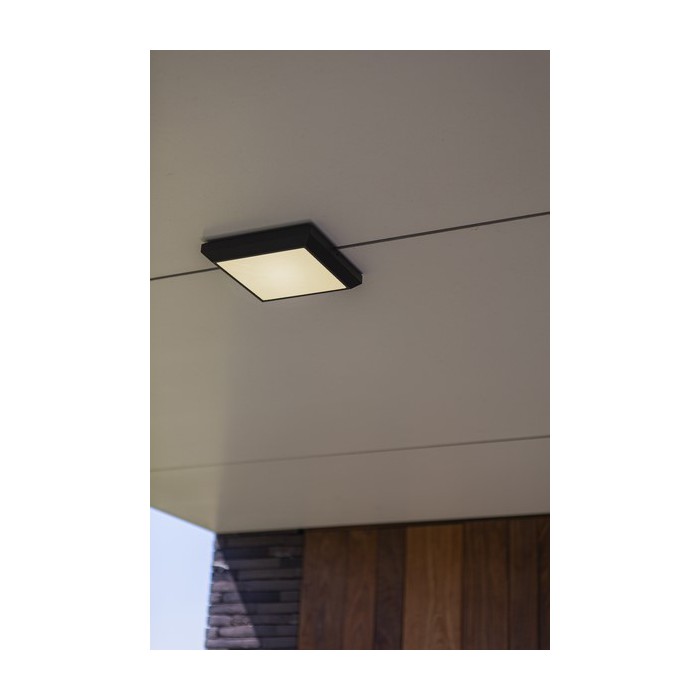 Lutec Lampa zewnętrzna ścienna HELENA...