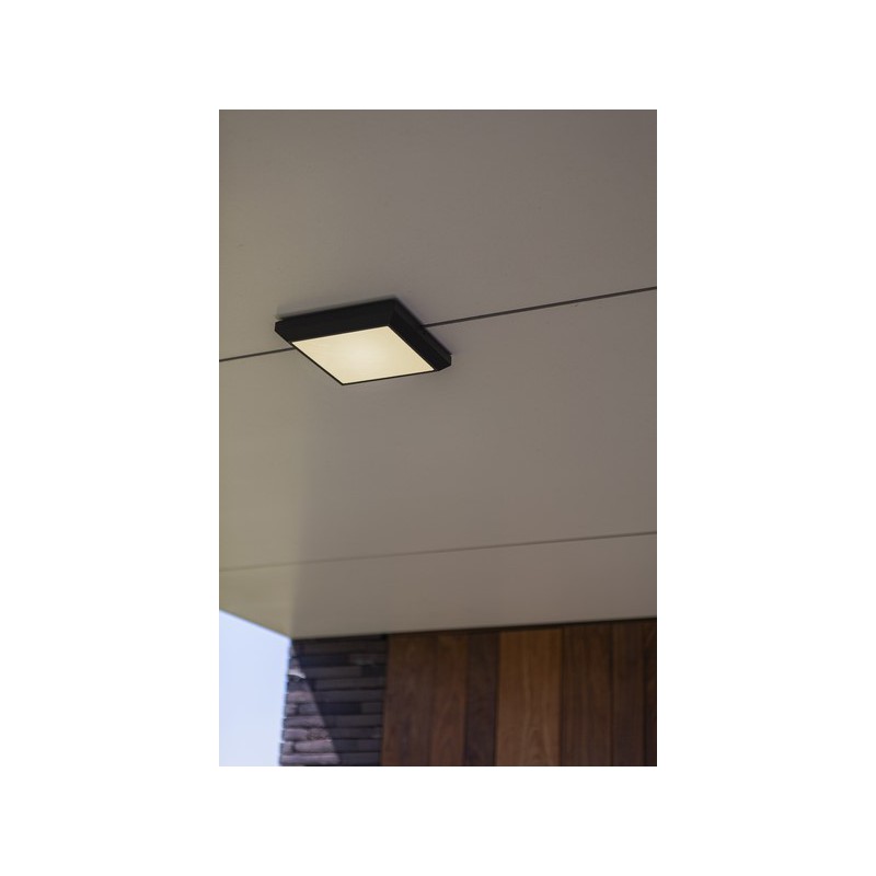 Lutec Lampa zewnętrzna ścienna HELENA 5102101118 antracyt