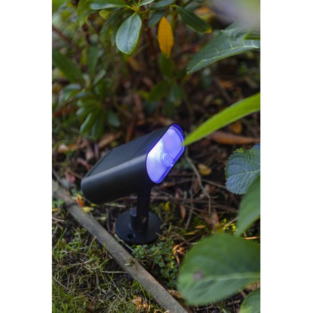 Lutec Lampa zewnętrzna ścienna GINBO 6938405330 czarny