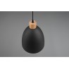 RL Lampa wisząca nowoczesna JAGGER R30681032 czarny