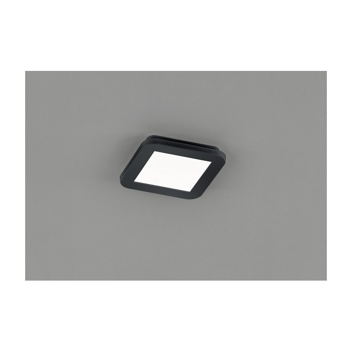 RL Lampa łazienkowa sufitowa CAMILLUS R62931032 czarny