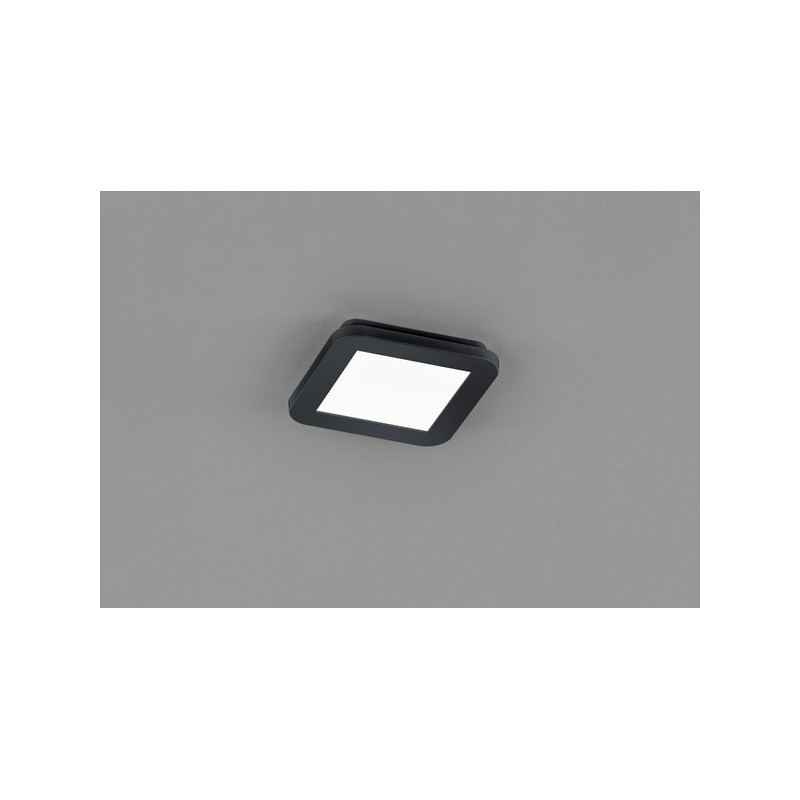RL Lampa łazienkowa sufitowa CAMILLUS R62931032 czarny