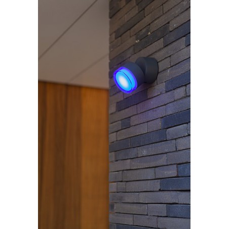 Lutec Lampa zewnętrzna ścienna DROPSI 5010901118 antracyt
