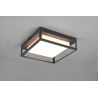 Trio Lampa zewnętrzna sufitowa WITHAM 677860142 antracyt