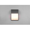 Trio Lampa zewnętrzna ścienna MERSEY 212160242 antracyt