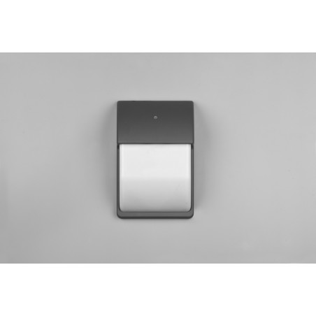 Trio Lampa zewnętrzna ścienna MERSEY 212160242 antracyt