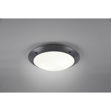 RL Lampa zewnętrzna sufitowa CAMARO R60502042 antracyt