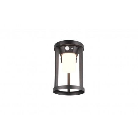 Trio Lampa zewnętrzna ścienna CARMO 241069132 czarny