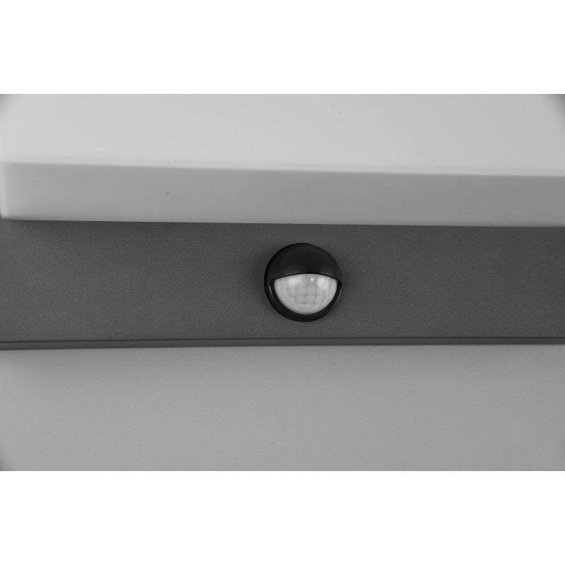 Trio Lampa zewnętrzna ścienna NESTOS - CZUJNIK RUCHU 240969142 antracyt, biały