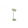 RL Lampa biurkowa LENNY R52661115 zielony