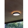 Lutec Lampa zewnętrzna sufitowa GOLETA 5205801012 czarny
