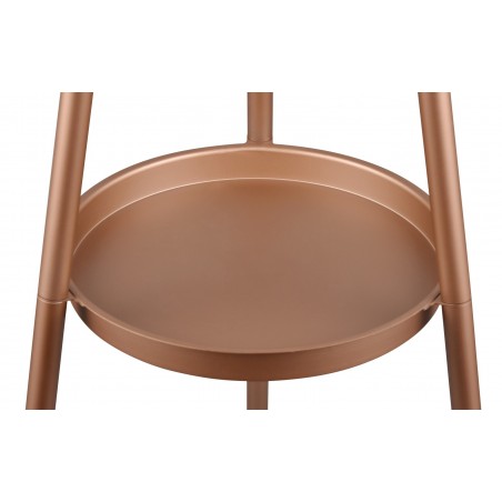 RL Lampa podłogowa COLETTE R41561065 brązowy i odcienie brązu, złoty i odcienie złota