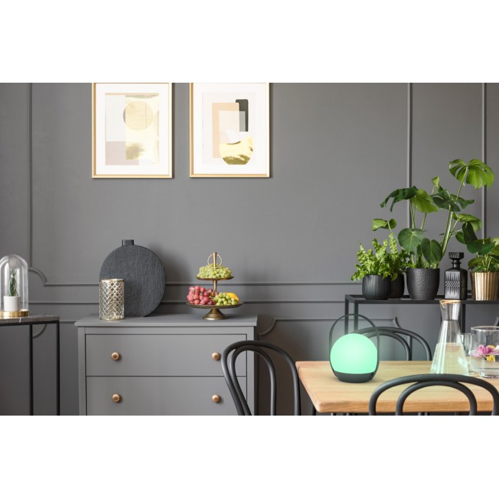 Lutec Lampa zewnętrzna przenośna CARDI...