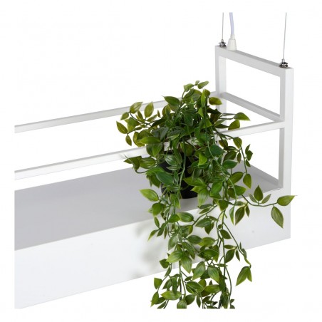 Lucide Lampa wisząca nowoczesna MIRAVELLE 21427/06/31 biały