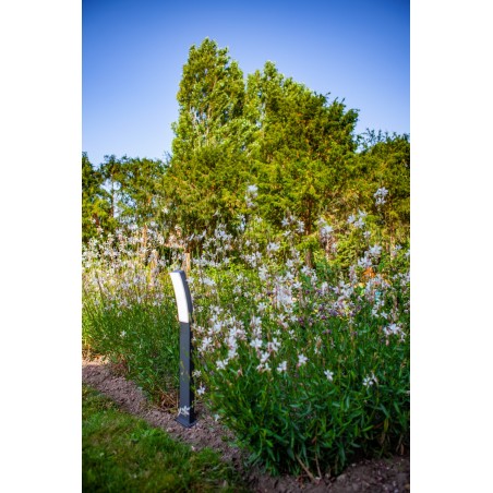 Lutec Lampa zewnętrzna stojąca KIRA 7288906118 antracyt