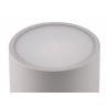 RL Lampa zewnętrzna przenośna FERNANDEZ R54096177 szary i odcienie szarości