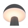 RL Lampa zewnętrzna przenośna FUNGO R57716142 antracyt