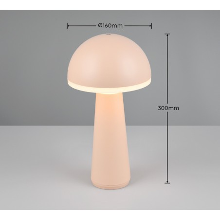 RL Lampa zewnętrzna przenośna FUNGO R57716166 inny