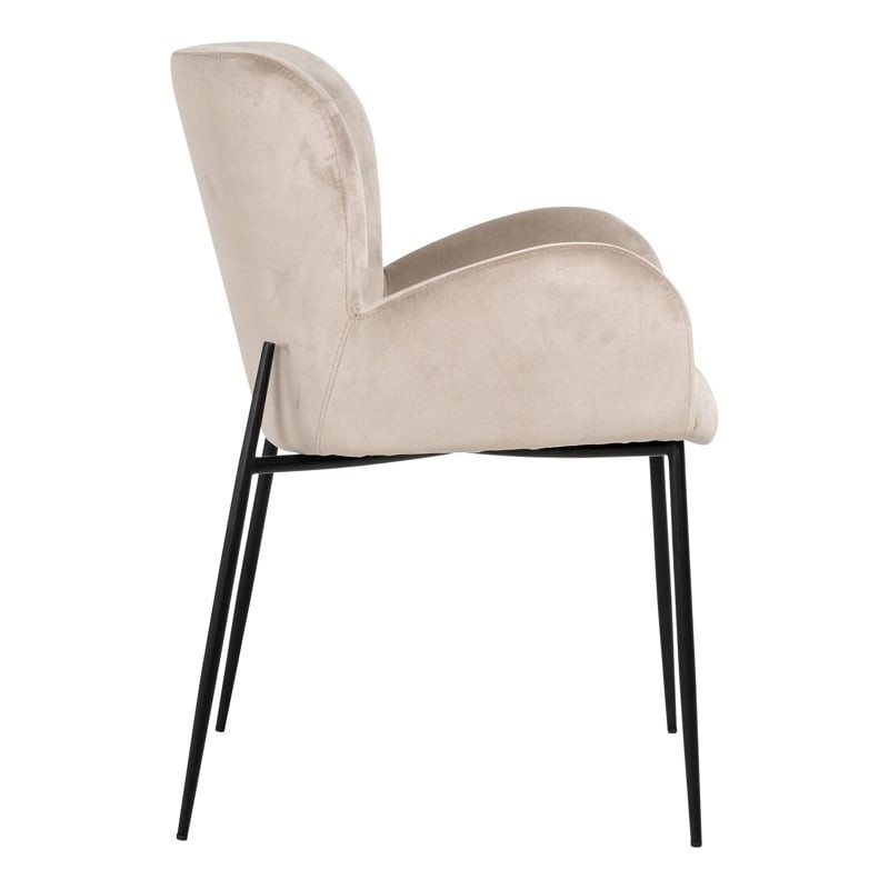 RICHMOND krzesło AMBER VELVET - trudnopalne