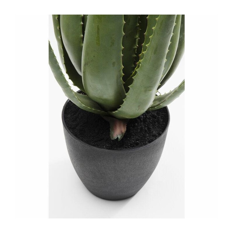 KARE roślina dekoracyjna ALOE 69 cm