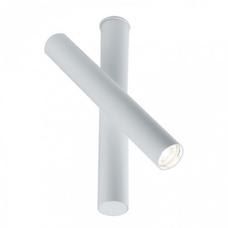 Shilo YABU (white) 7262