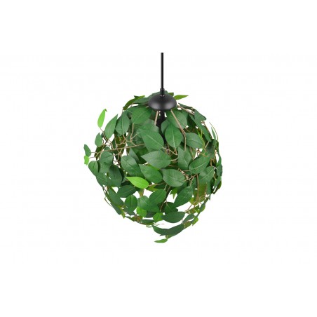 Rl Lampa Wisząca Nowoczesna Leavy R10461915 Czarny, Zielony