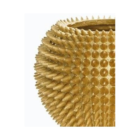 RICHMOND waza KYONA złota