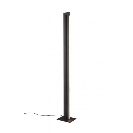 Trio Lampa podłogowa SEEKER 448810132 czarny
