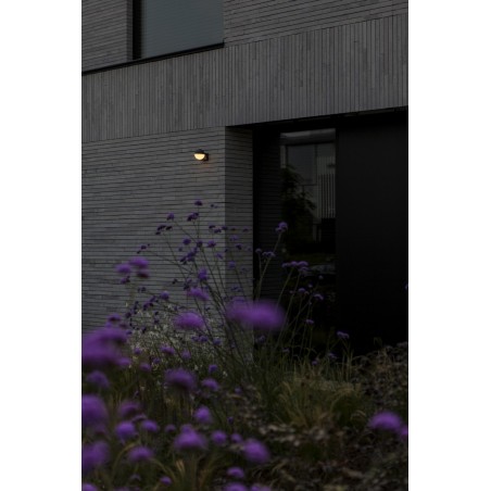 Lutec Lampa Zewnętrzna Ścienna Looma 5138002118 Szary I Odcienie Szarości