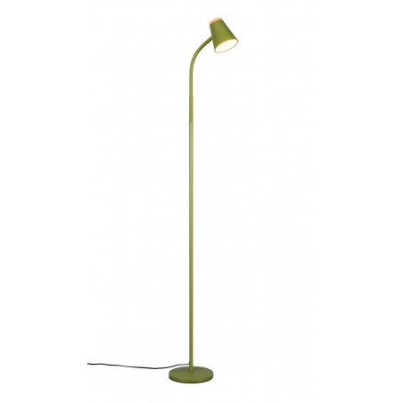 Rl Lampa Podłogowa Pongo R45831115 Zielony