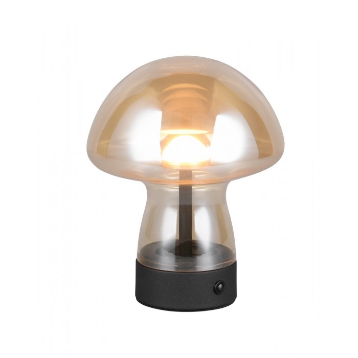 Rl Lampa Stołowa Dooley R54981113 Inny