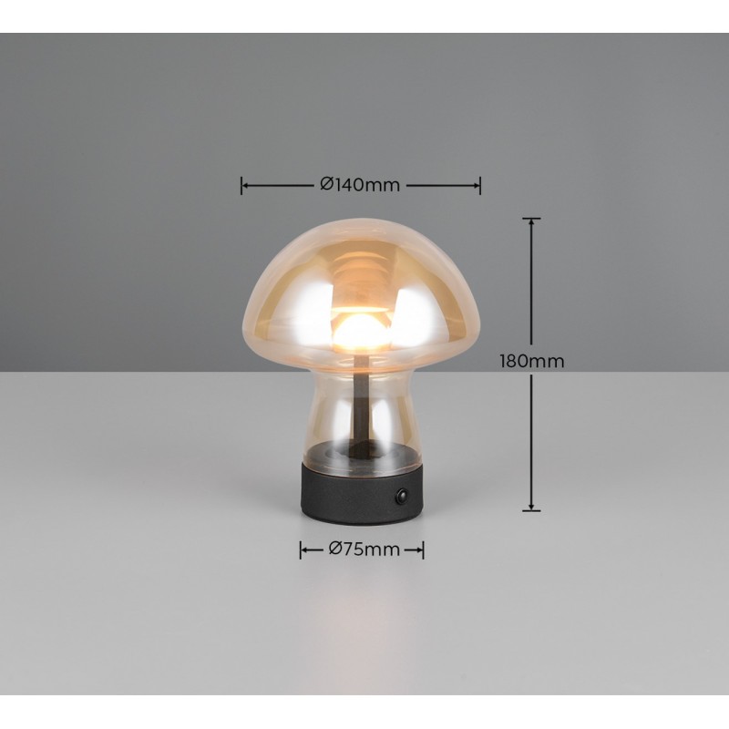 Rl Lampa Stołowa Dooley R54981113 Inny