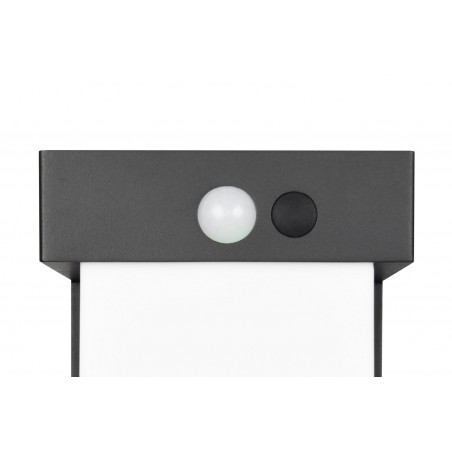 Rl Lampa Zewnętrzna Ścienna Colombo Hybrid R23286132 Czarny