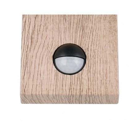 Trio Lampa Zewnętrzna Ścienna Sambesi 204169135 Drewno Jasne I Ciemne