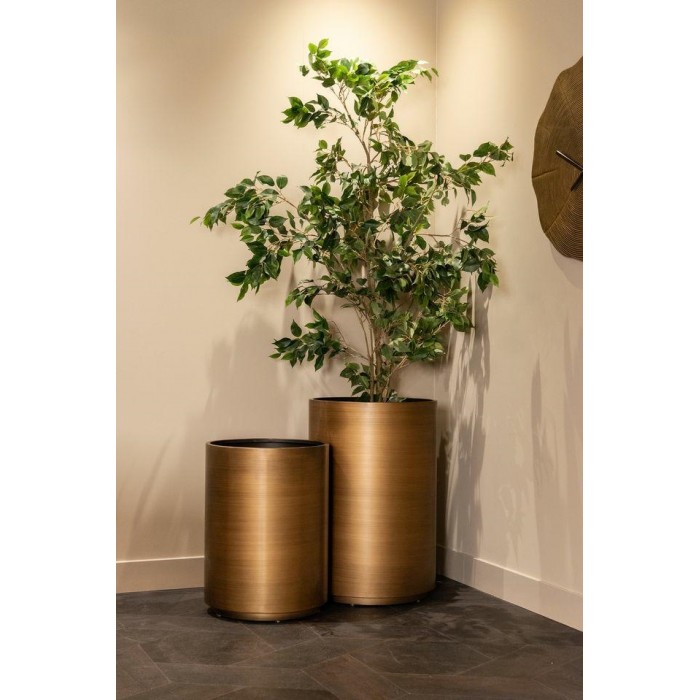 Richmond Donica Dira 45 Szczotkowane      Złoto