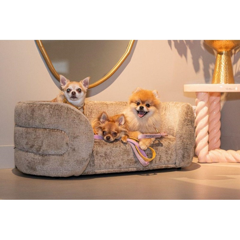 Richmond Legowisko Dla Psa Bingo Ciemny   Beż