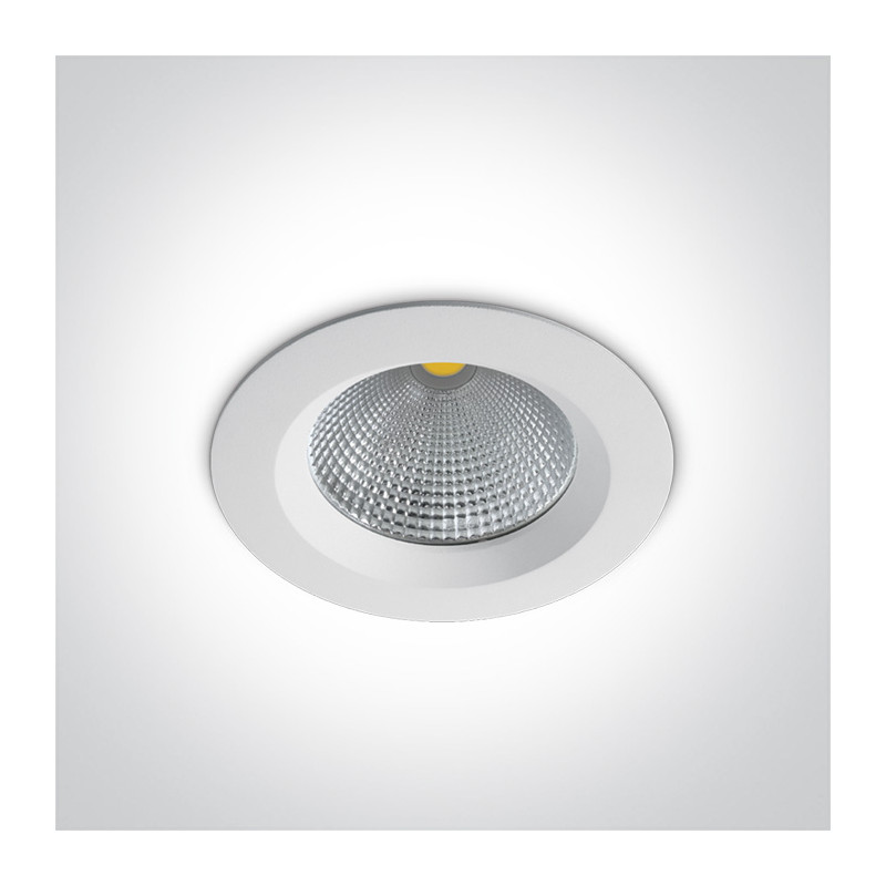 10120CA/W/W biała wpuszczana oprawa typu downlight LED 3000K 20W zasilacz 500mA w komplecie