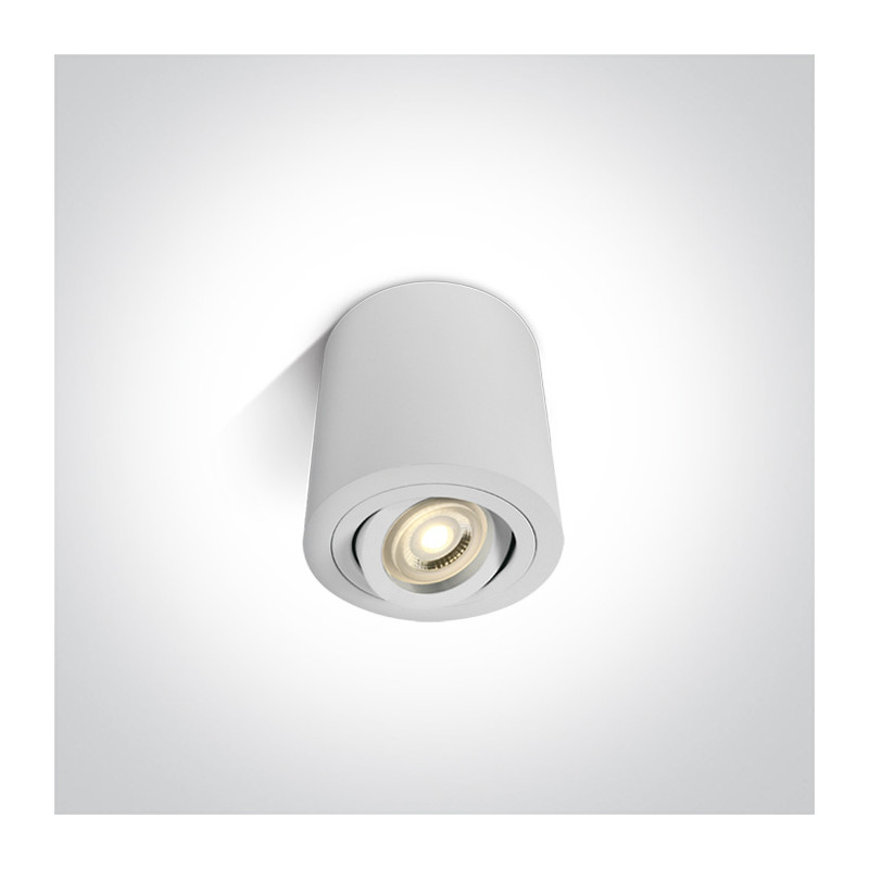 12105AB/W biała oprawa sufitowa z oprawką GU10 MR16 10W