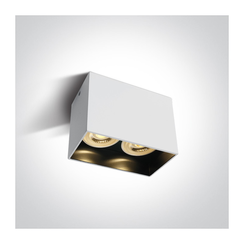 12205NA/W biała oprawa sufitowa z czarnym odbłyśnikiem i oprawką GU10 MR16 2x10W