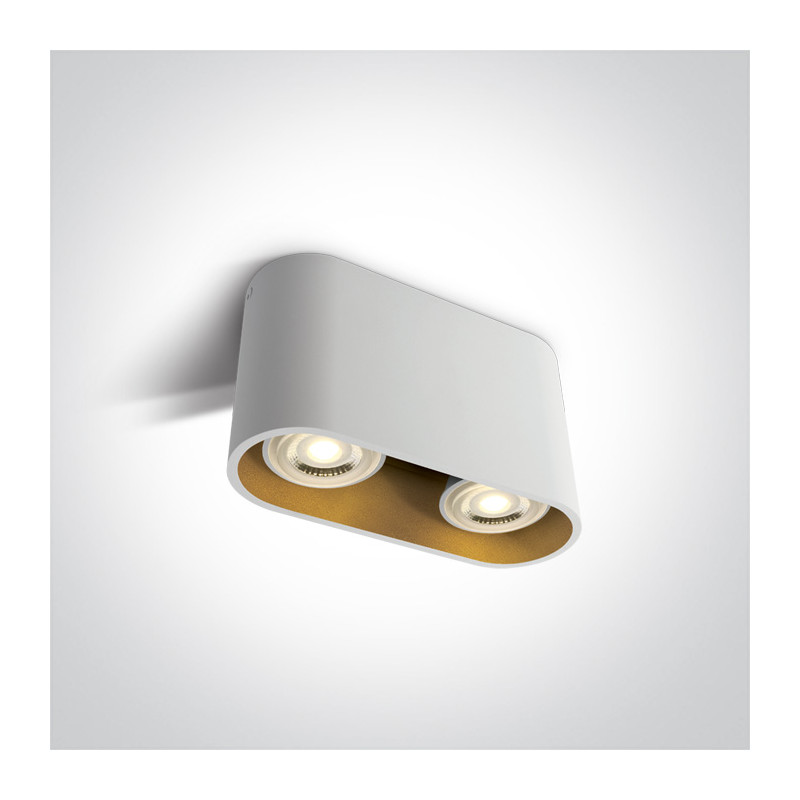 12205T/W biała oprawa sufitowa z oprawką GU10 MR16 2x10W