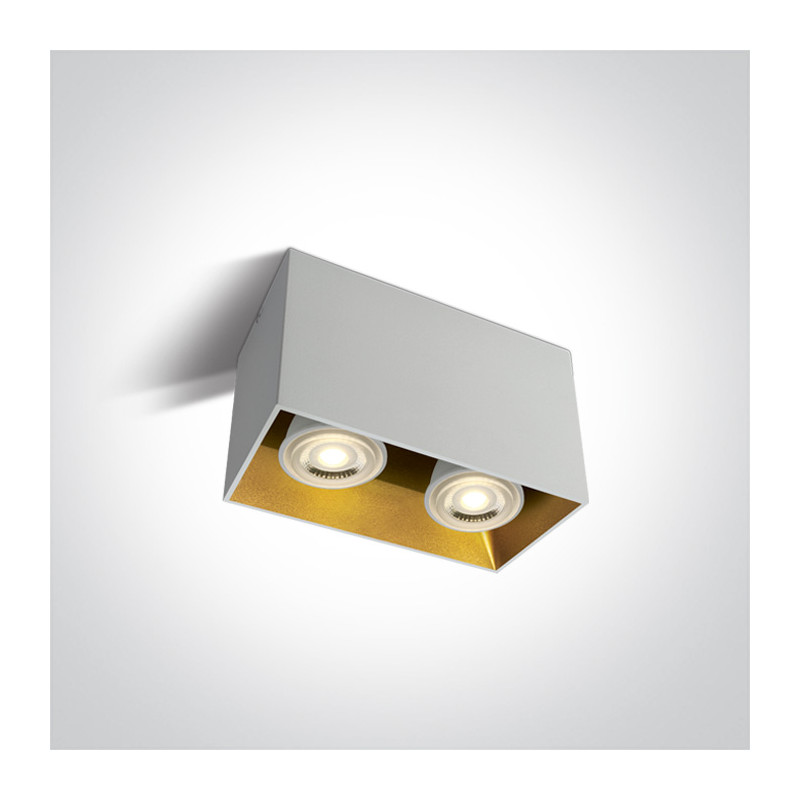 12205TA/W biała oprawa sufitowa z oprawką GU10 MR16 2x10W