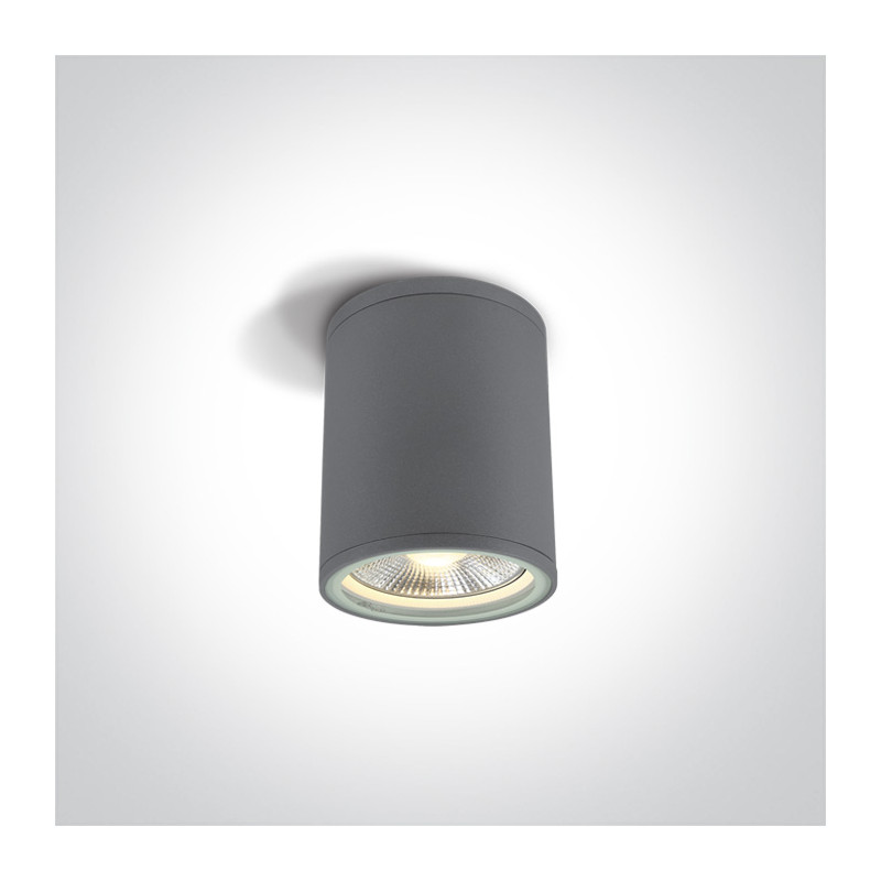 67132C/G szary zewnętrzny cylinder sufitowy 75W PAR30 E27