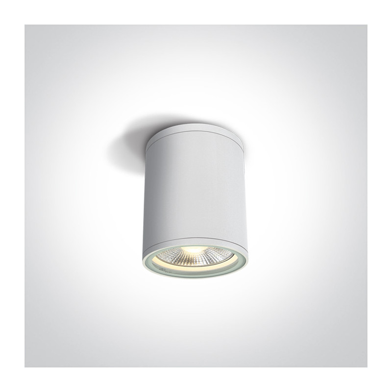 67132C/W biały zewnętrzny cylinder sufitowy 75W PAR30 E27