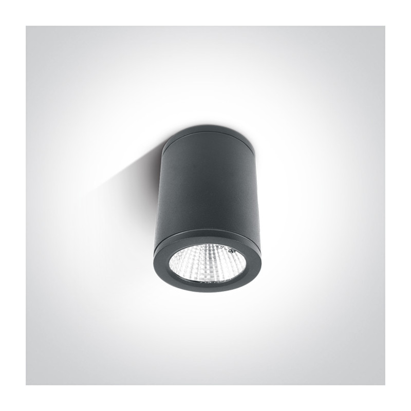 67138C/AN/W zewnętrzny cylinder sufitowy w kolorze antracyt 3000K 6W IP54 zasilacz w zestawie 