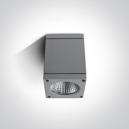 67138D/G/W szara zewnętrzna oprawa sufitowa 3000K 6W IP54 zasilacz w zestawie