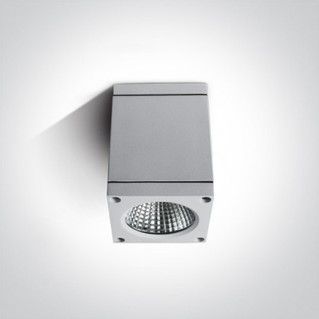 67138D/W/W biała zewnętrzna oprawa sufitowa 3000K 6W IP54 zasilacz w zestawie